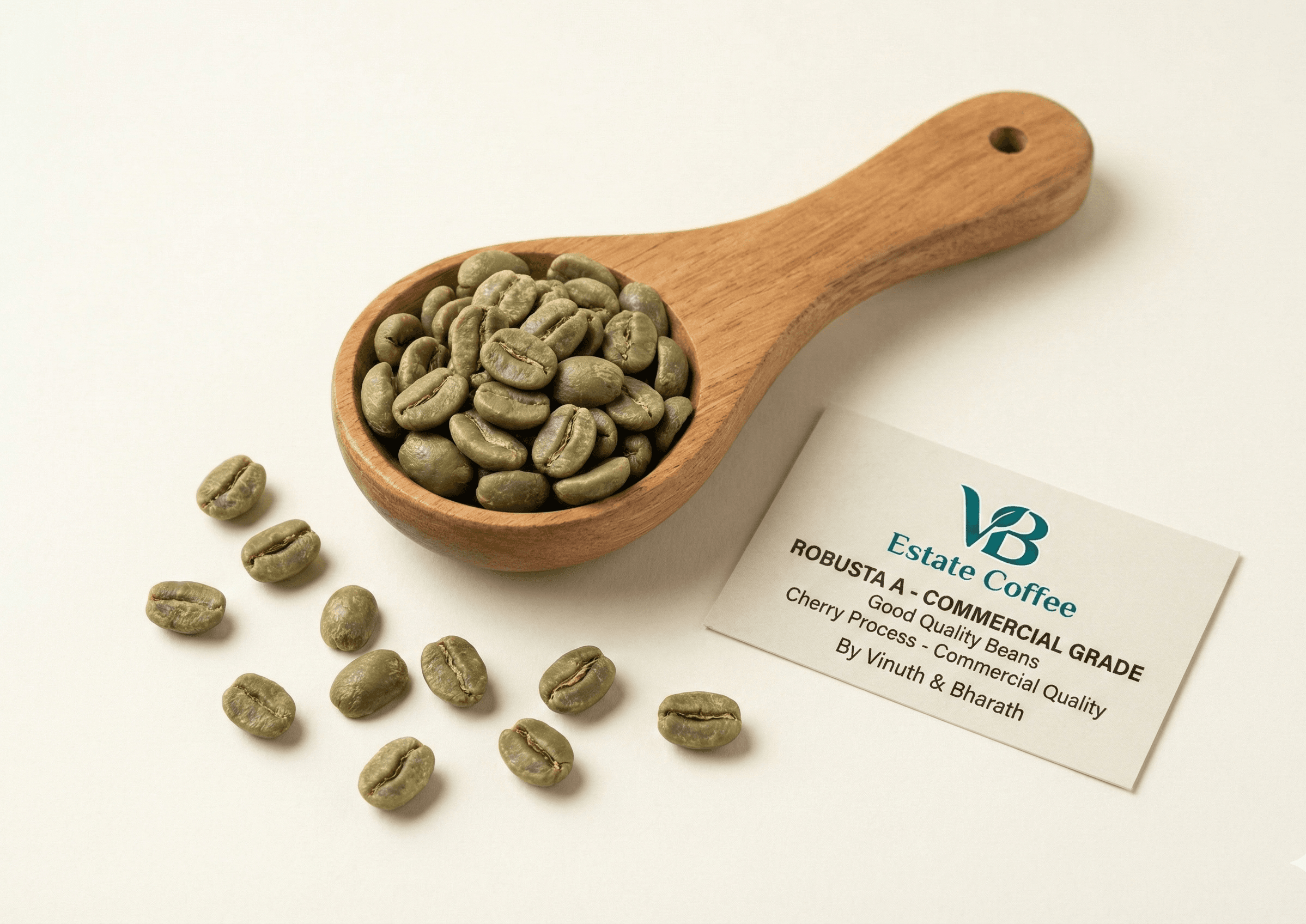 Robusta Screen 16 (A Grade) - Green - Indian Coffee Export | VB Exports