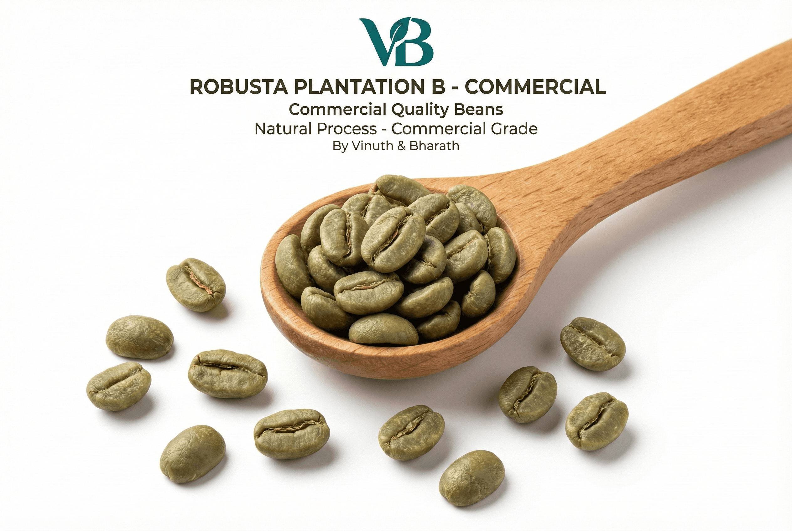 Robusta Screen 15 (B Grade) - Green - Indian Coffee Export | VB Exports